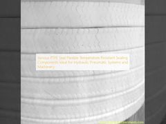 Различные герметичность из ПТФЕ гибкие температурно-устойчивые герметичность компоненты идеально подходят для гидравлических пневматических систем и машин